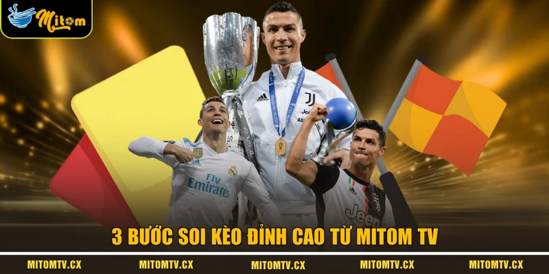 3 bước soi kèo đỉnh cao từ Mitom TV