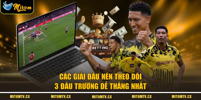 Các Giải Đấu Nên Theo Dõi | 3 Đấu Trường Dễ Thắng Nhất