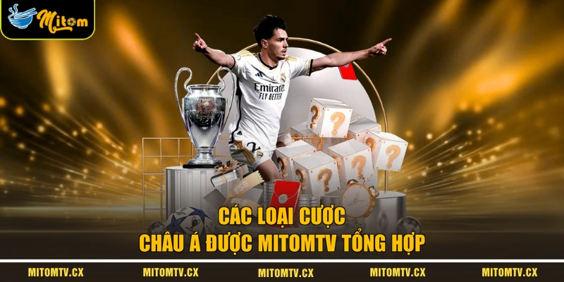 Các loại cược châu Á được MITOMTV tổng hợp 