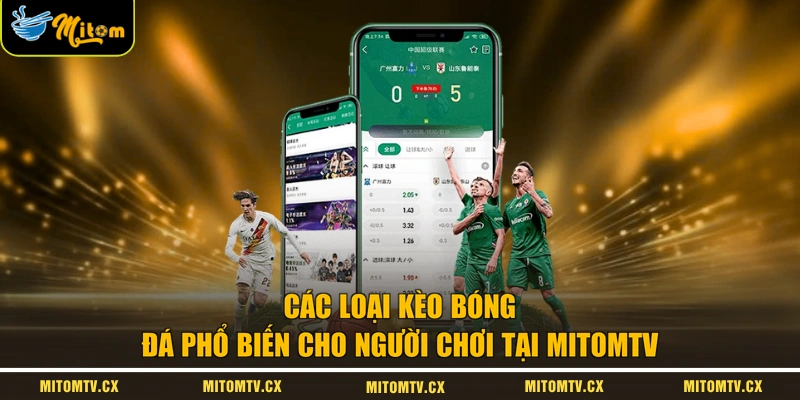 Các loại kèo bóng đá phổ biến cho người chơi tại MITOMTV