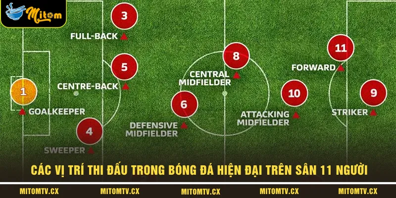 Các vị trí thi đấu trong bóng đá hiện đại trên sân 11 người