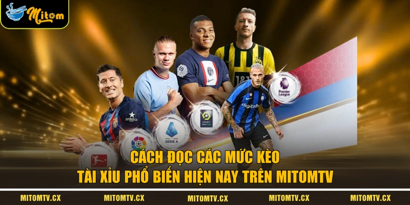 Cách đọc các mức kèo tài xỉu phổ biến hiện nay trên MITOMTV 