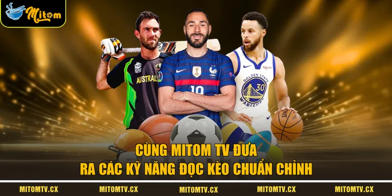 Cùng Mitom TV đưa ra các kỹ năng đọc kèo chuẩn chỉnh