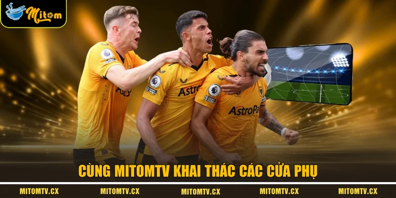 Cùng Mitomtv khai thác các cửa phụ 