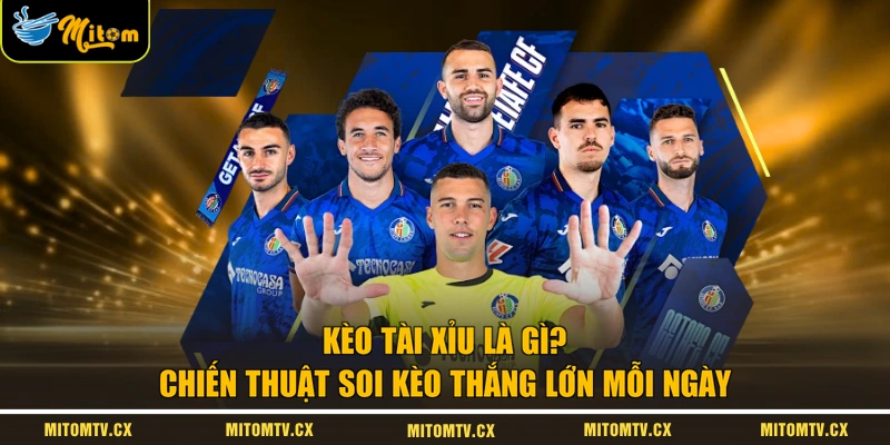 Kèo Tài Xỉu Là Gì? Chiến Thuật Soi Kèo Thắng Lớn Mỗi Ngày
