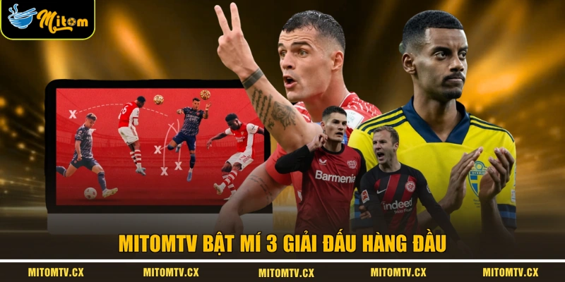 Mitomtv bật mí 3 giải đấu hàng đầu