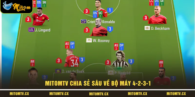 MITOMTV chia sẻ sâu về bộ máy 4-2-3-1