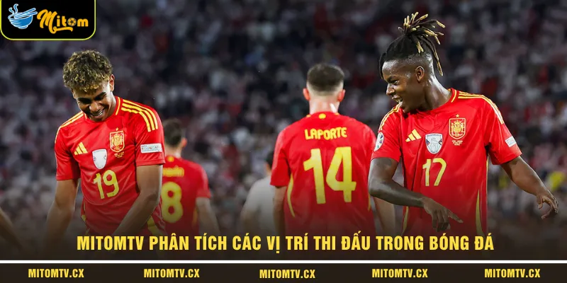 MITOMTV phân tích các vị trí thi đấu trong bóng đá