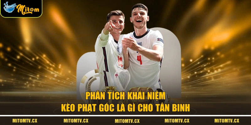 Phân tích khái niệm kèo phạt góc là gì cho tân binh