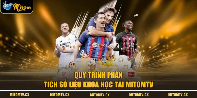 Quy trình phân tích số liệu khoa học tại MITOMTV